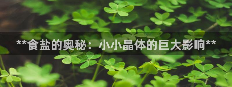 威九国际app客服电话