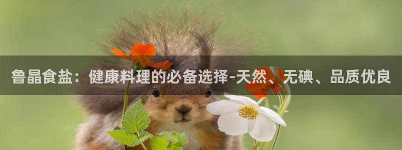 威九国际网站怎么样