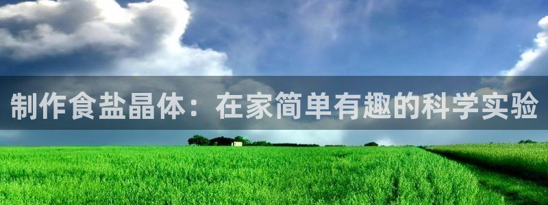 威九国际动漫