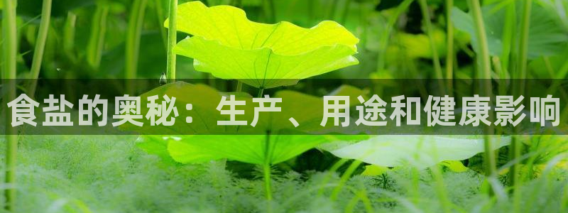 威九国际空降视频