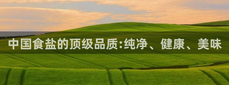 威九国际游戏app(网站)