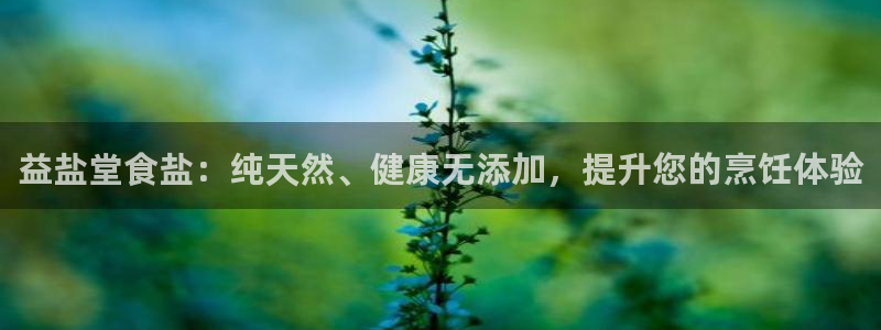威九国际app网站