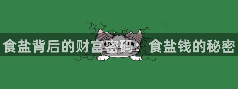 威九国际78mB