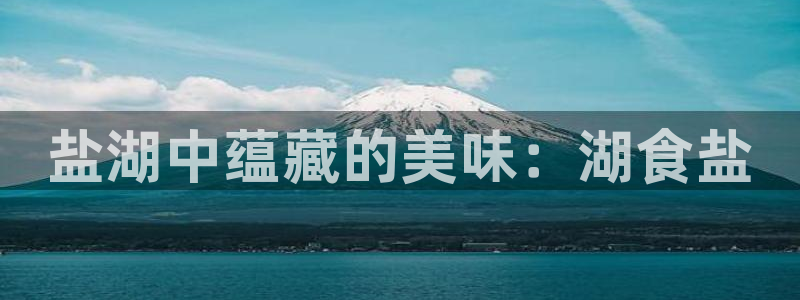 威九国际网站入囗