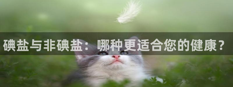 78mppt威九国际