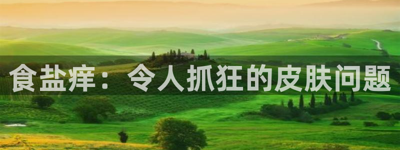 威九国际78mb特点