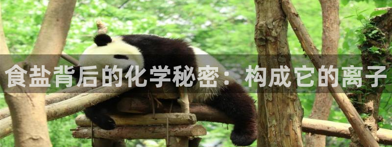 威九国际app哪个地方