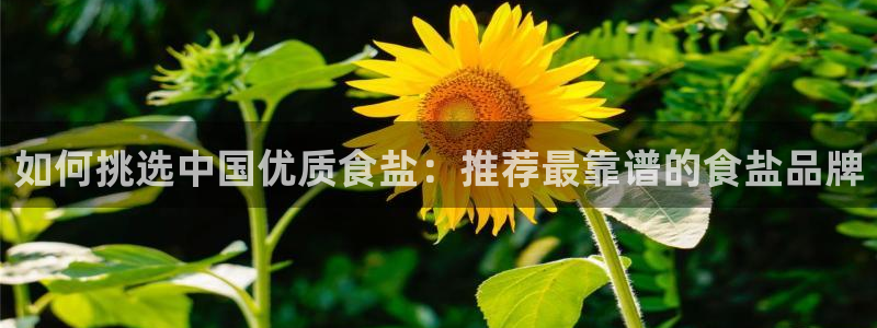 威九国际fX8x