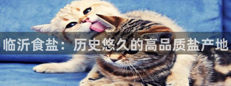 威九国际安全吗