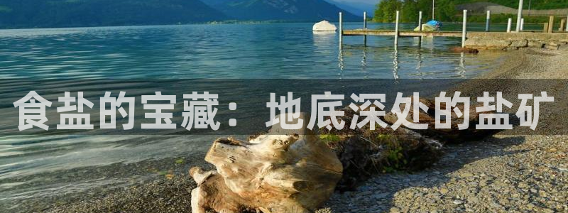 威九国际FF