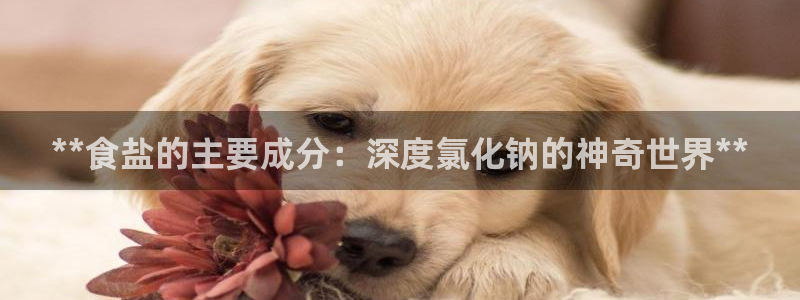 威九国际官网版下载