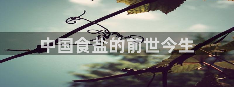 威九国际app哪个地方