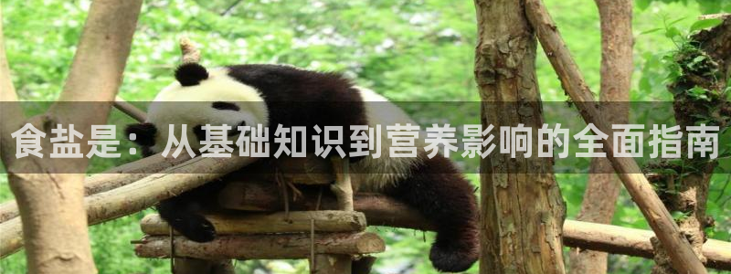 威九国际清砖码头在哪