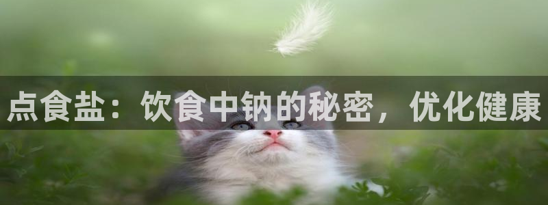 威九国际可以退钱吗怎么退