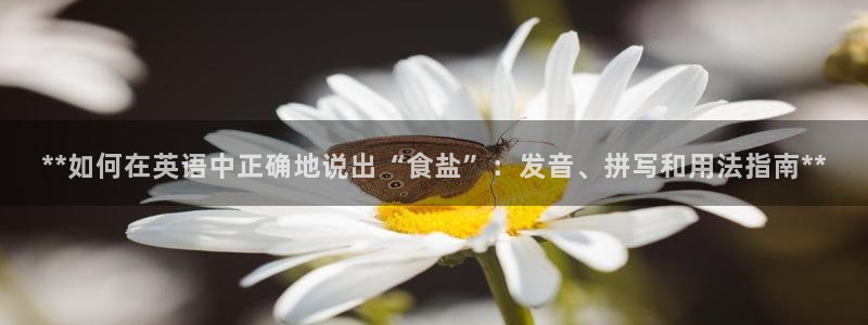 威九国际网站入口官网免费下载