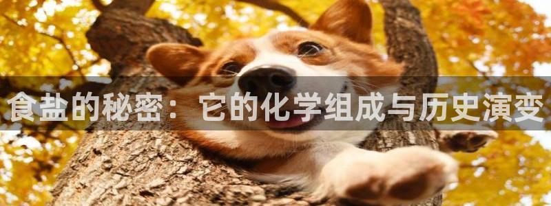 威九国际游戏