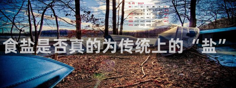 威九cp