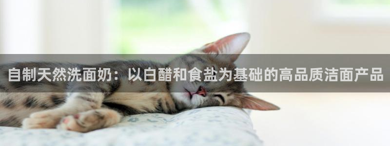 威九国际v96bet官网版