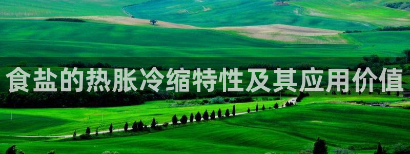 威九国际app网站