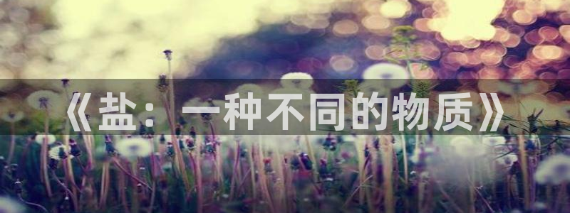 威九国际精选