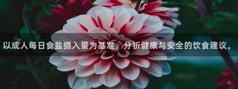威九国际精免费下载