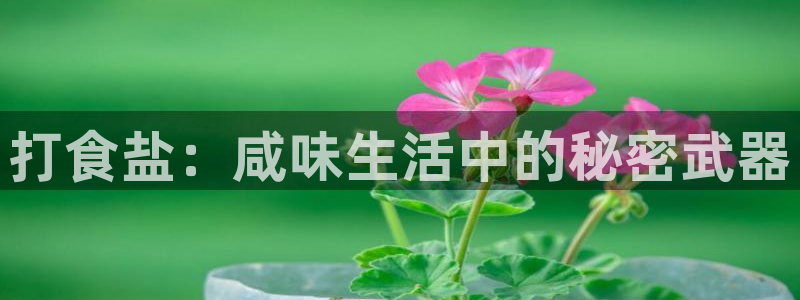 威九国际里的长头发帅哥名字