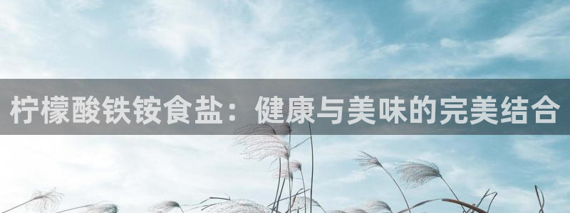 威九国际ppt免费下载网址