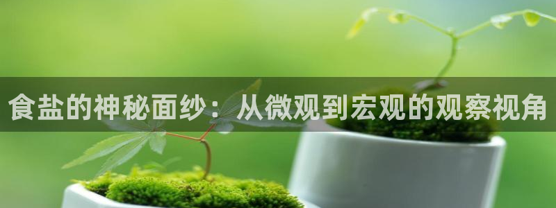 威九国际的演员