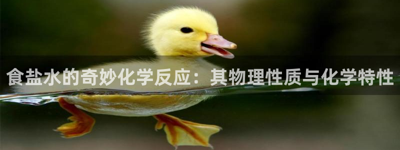 威九国际安全吗