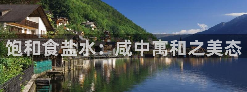 威九国际网站入口官网免费