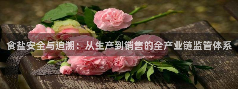 威九国际新：食盐安全与追溯：从生产到销售的全产业链监管体系