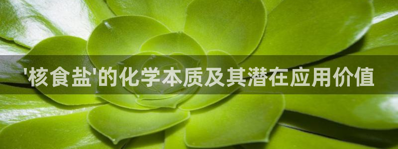 78mapp威九国际网