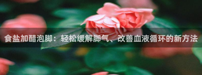 威九国际空降服务怎么样