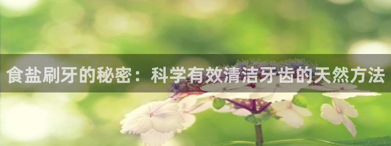 威九国际网站客服电话多少