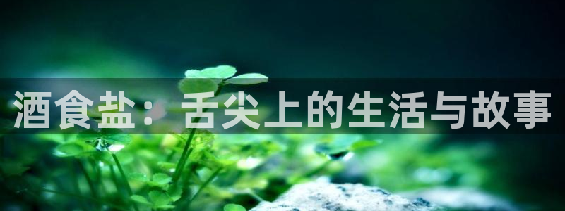 威九国际入囗