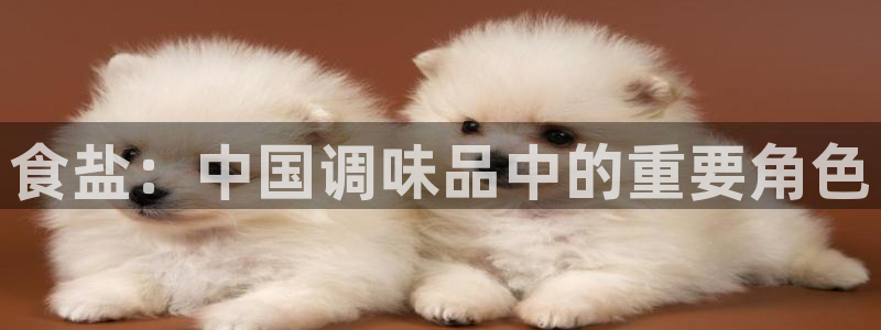 威九国际后爸