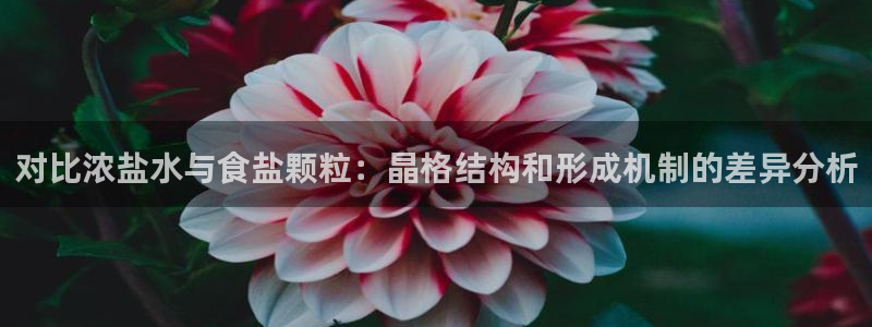 威九国际网站入口官网免费下载