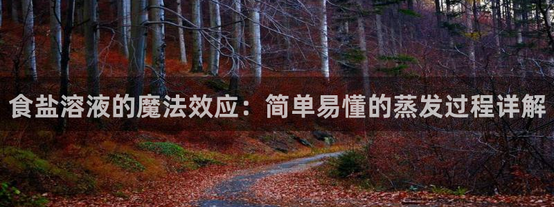 威九国际66m免费下载：食盐溶液的魔法效应：简单易懂的蒸发过