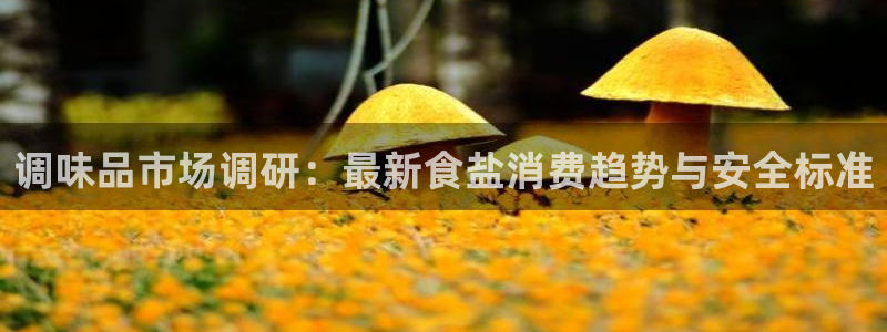 威九国际的网站入口在哪里