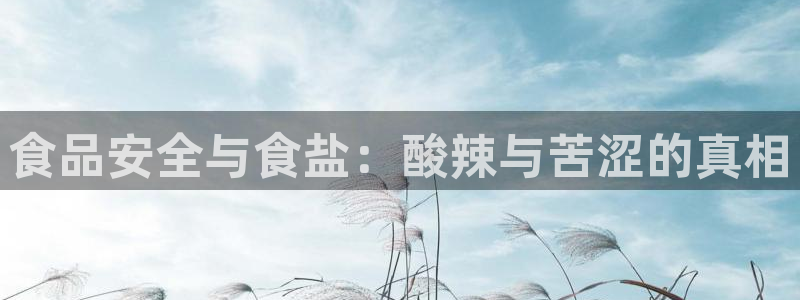 威九国际软件公司简介